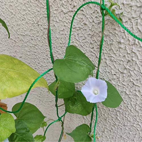 2Pack 5.9Ft x 8.86Ft Garden Plant Trellis Plant Climbing Net