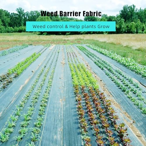4ft x 250ft, 5oz Heavy Duty Weed Barrier Landscape Fabric - Woven Ground Cover - Superior Weed Control, High Permeability, Durable & Eco-Friendly Mulch Mat for Garden, Driveway, Flower Bed - Black