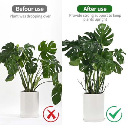 Yhtpouqe 12 Pack Plant Support Stakes, Plant Stakes for Indoor and Outdoor Plants. 39.37inch Plant Sticks with Extension Poles, Plant Clips, Plant Ties for Potted Monstera Plants, Climbing Plants - size: 39.37"- 12 Pack