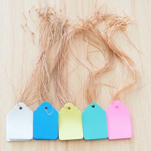 100 PCS Plastic Waterproof Hanging Garden Plant Labels Hanging Tags with String Price Tags for Pots, Herbs, Flower （5 Colors Mixed）