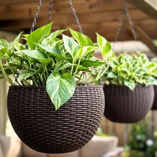 LaLaGreen Hanging Planters (11in, 2 Pack) Self-Watering Hanging Flower Pots - color: Brown X 2