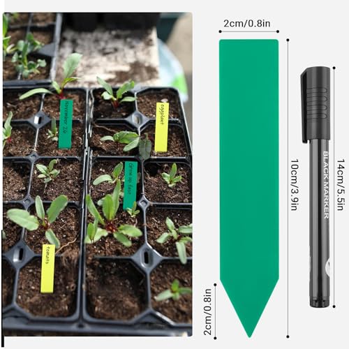 Greaner Plant Identification Stakes, Colorful 100PCS Plant Tags, Plant Markers for Outdoor Plants Waterproof, Plant Label Stakes for Indoor Outdoor plants, Herb Labels with Garden Marker Pen(4 Inches) - color: Multicolored, size: 0.7x4 Inch-100 PCS