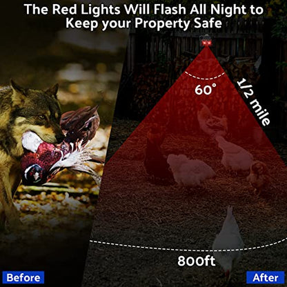 4 Pack Control Light Nocturnal Animal Repeller