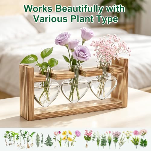 Plant Terrarium Propagation Station Air Planter Bulb Glass Vase with Wooden Stand 3 Heart Shaped Glass Vases