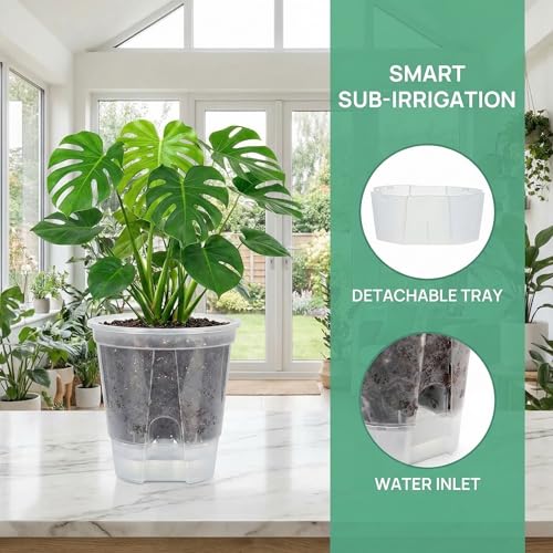 yarlung 6 Pack Self Watering Pots for Indoor Plants with Reservoir Tray and Holes, Clear Plastic Self Watering Planters for Outdoor Plants Flowers, Round 4.75" 6" 7"