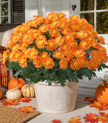 HyeFlora Artificial Fall Faux Mums Flowers Outdoor Plants for Decoration, 6 Bundles Fake Silk Orange Gerbera Daisy Flowers UV Resistant Look Real for Planter Outside Front Door Porch Patio Balcony - color: Orange-gerbera