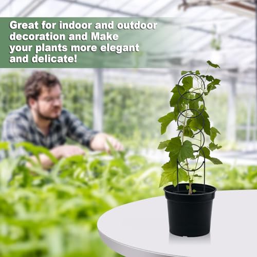 17.5 inch Small Trellis for Potted Plants, Metal Plant Trellis Indoor - color: Circular-Metal
