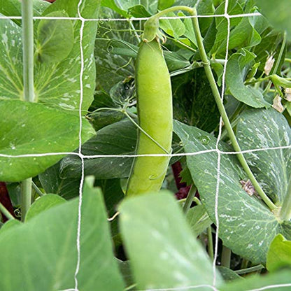 Tcamp Heavy-Duty Polyester Garden Trellis Netting, 5Ft x15Ft (1 Pack) - size: 3.5" Mesh (5*15Ft)