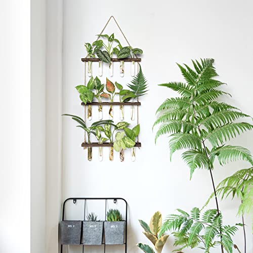 Mkono Plant Propagation Station, 3 Tier Brown Wall Hanging Vase Test Tubes - color: Brown, size: Medium