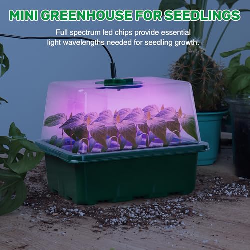 The Bundle of Bonviee 5 Packs Seed Starter Tray with Grow Light and 36 Packs Variety Sizes Clear Nursery Pots