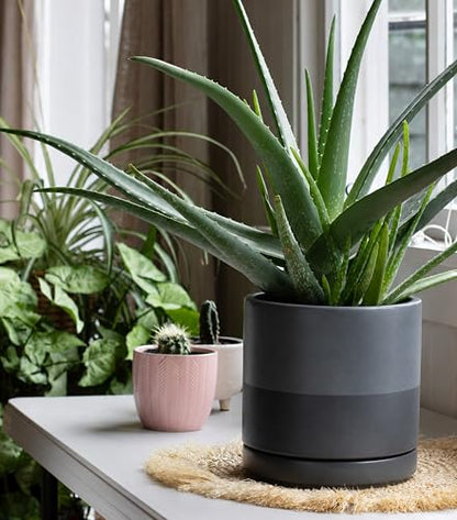 D'vine Dev 8 Inch Ceramic Planter Pot, Slate, 94-O-D-5 - color: Slate, size: Medium