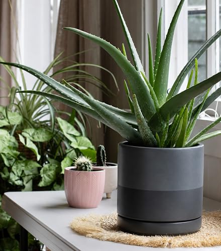 D'vine Dev 8 Inch Ceramic Planter Pot, Slate, 94-O-D-5 - color: Slate, size: Medium