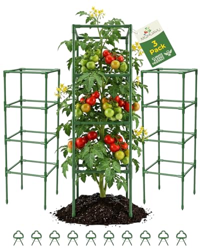 3 Pack Tomato Cages,Square Tomato Plant Stakes Support Cages Trellis for Garden Climbing Vegetables Flowers Fruits,Extra Bold - color: green