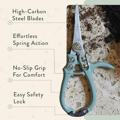Modern Sprout Pruning Shears - Garden Snips - Herb Scissors - Sage 1-Pack - color: Sage