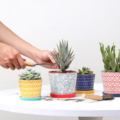 Selamica Ceramic Succulent Pots, 4.3 Inch Small Plant Pots with Drainage Holes and Saucers, Small Flower Pots for Succulent, Cactus, Home Decor, Set of 4, Assorted Colors - color: Assorted Colors, size: 4.3 Inch, Set of 4