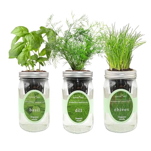 Hydroponic Herb Growing Kit Set, Self-Watering Mason Jar Herb Garden Starter Kit Indoor, Windowsill Herbs Garden, Grow Your Own Herbs from Organic Seeds (Basil, Dill, Chives) - color: Basil, Dill & Chives