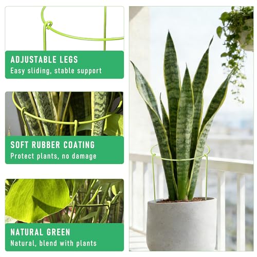6-Pack Heavy Duty Plant Stakes and Supports for Indoor Outdoor Plants, Metal Support Stakes & Cage Rings, Ideal for Monstera, Peonies, Roses (8" W x 14" H) - size: 8"W x 14"H, 6-Pack