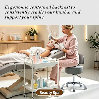 Ergonomic Drafting Stool with Backrest Heavy Duty Hydraulic for Shop - color: Grey, style: Stylish