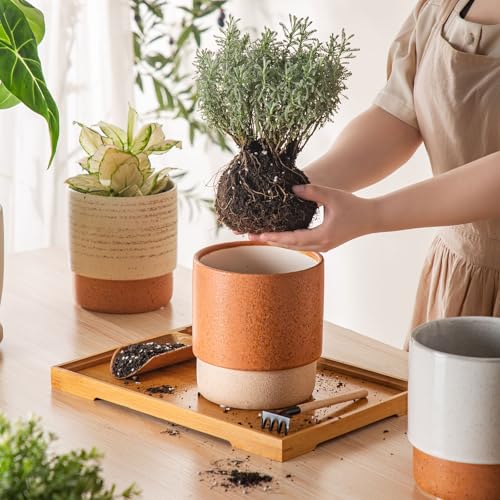 6 Inch Ceramic Self Watering Planter with Drainage Hole Terracotta - color: Terracotta, size: Small