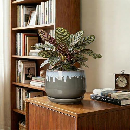 Ceramic Planter, 7 Inch Flower Pots for Indoor Plants, Grey-Blue - size: 7 Inch, style: Grey-blue