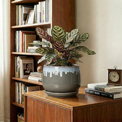 Ceramic Planter, 7 Inch Flower Pots for Indoor Plants, Grey-Blue - size: 7 Inch, style: Grey-blue