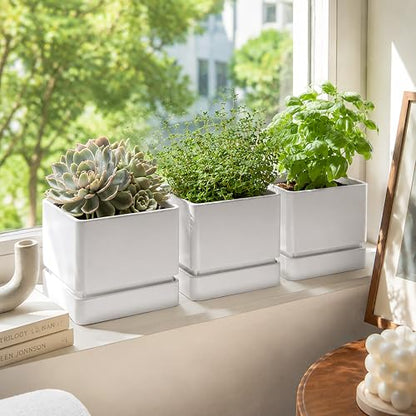 D'vine Dev 3-Pack Plastic Herb Planter Pots, 6 in, White, 76-Y-A3-2 - color: White, size: 18 Inch x 6.5 Inch