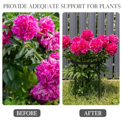 2 Pack 18.9" x 23.6" Large Peony Cage and Support