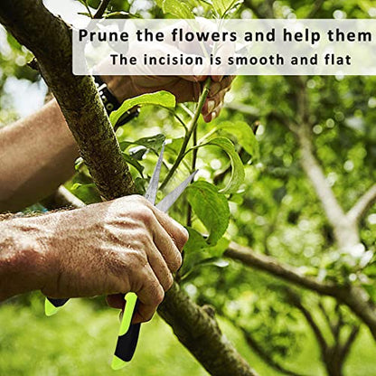 Green Micro Tip Garden Shears for Precise Trimming - Lightweight, Stainless Steel Hand Pruners, Flower Trimmers, and Bonsai Snippers