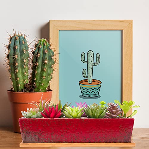 Succulent Pots, 12'' Large Long Rectangle Succulent Planter Pots with Drain - color: Red