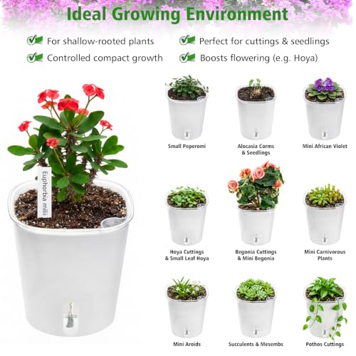 4 Inch Self Watering Pots for Indoor Plants, 10 Pack Clear Nursery Pots with Drainage & Water Level Indicator, Plant Pots for African Violet, Flowers, Herbs - size: 4 Inch
