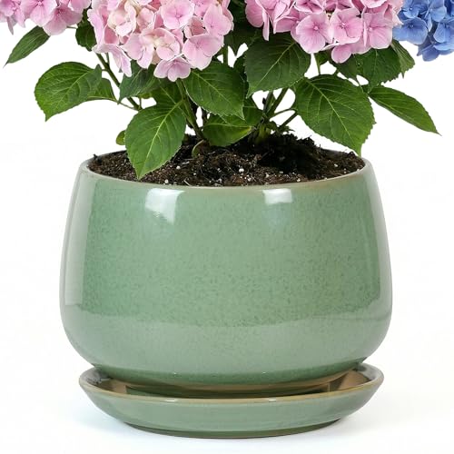 10.3 Inch Flower pots for Indoor Outdoor Plants with Saucer Drainage Leak-Proof Mesh, Ceramic Planter with Gardening Gloves for Succulent and Flower (Crackled Green) - color: Crackled Green, size: 10.3 Inch