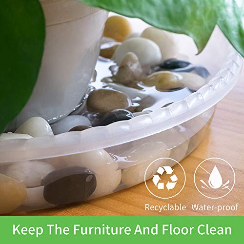 MUDEELA 6 Pack of 15 inch Plant Saucer, Durable Plastic Plant Trays for Indoors, Clear Plastic Flower Plant Pot Saucer, Made of Thicker, Stronger Plastic, with Taller Design - size: 15" - 6 Pack
