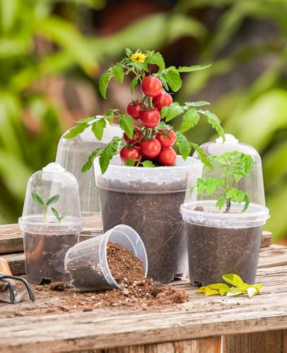 homenote 3 Inch Nursery Pots with Humidity Domes for Seed Starting (30 Pcs) - color: Transparency-with Lid, size: 3 Inch-30 Pack