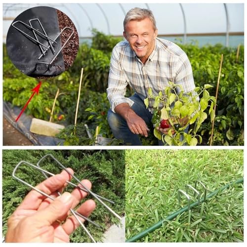 50Pcs Garden Stakes Staples + 50Pcs Gasket, 6 Inch Lawn Landscape Staples 11 Gauge U Shaped Galvanized Landscape Pins, Heavy Duty Yard Ground Pin for Weed Barrier Sod Fabric Decorations