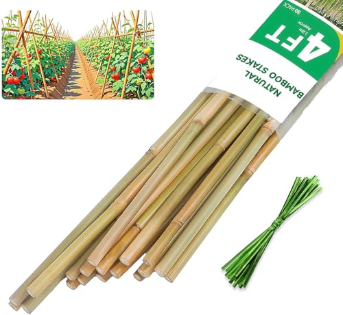Natural Bamboo Plant Stake, （4FT 30Pcs） Sturdy Bamboo Poles, Durable Plant Bamboo Stake, Garden Climbing Plant Bracket. - size: 4ft-30PCS