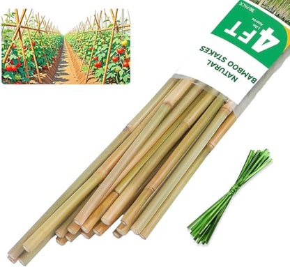 Natural Bamboo Plant Stake, （4FT 30Pcs） Sturdy Bamboo Poles, Durable Plant Bamboo Stake, Garden Climbing Plant Bracket. - size: 4ft-30PCS