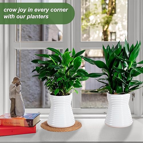 2PCS Self Watering Planters 5.9 Inch Self Watering Pots for Indoor Plants, African Violet Pots with Wick Rope, Flowers, Succulents, Herb, House Plants - color: White 2