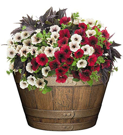 Whiskey Barrel Planter, 20.5", Distressed Oak - size: 20.5", style: 1 Pack