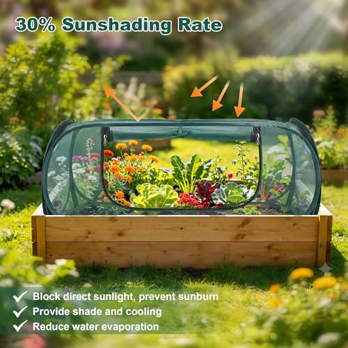 2Pack Pop-Up Mesh Plant Enclosure, Plant Cover for Vegetables Fruits - color: Dark Green