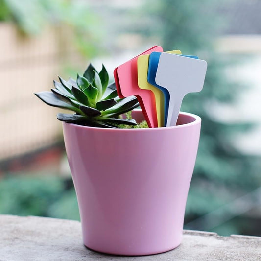 10pcs/lot 6 x10cm Plastic Plant T-Type Tags Markers Nursery Garden Labels Decoration