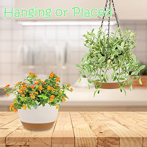 LIYDE 3 Pack Hanging Planters, 8 Inch Small Hanging Pots Self Watering Hanging Planters for Indoor Plants with Drainage Holes and Removable Tray Hanging Basket (Natural White) - color: Natural White