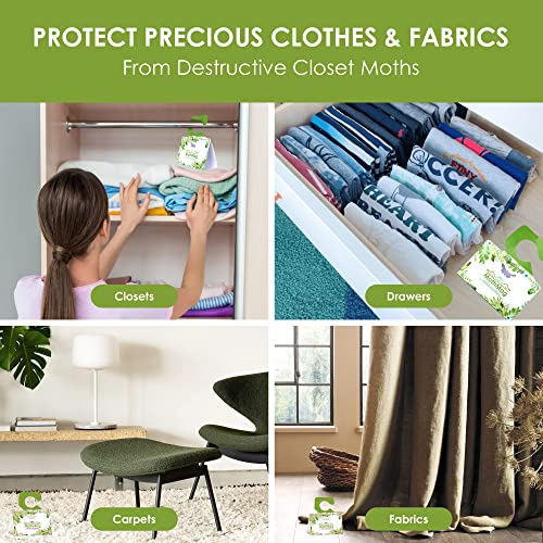 MothMag Moth Traps for Clothes, Closets, Fabrics, and Carpets, Clothing Moth Traps, Clothes Moth Traps, Closet Moth Traps, Moth Pheromone Traps, Extra-Strength Adhesive Glue Clothes Moth Trap, 6 Pack - color: Green