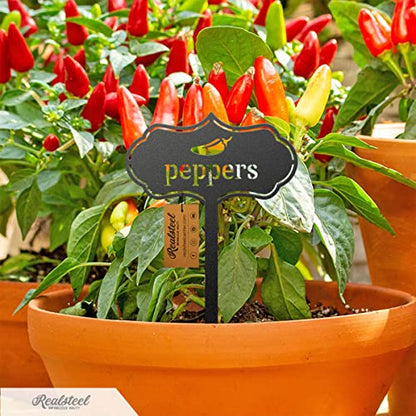 RealSteel Metal Seed & Plant Markers – Elegant Indoor & Outdoor Garden Stakes – Durable Herb, Vegetable & Fruit Plant Labels for Pots, Raised Beds & Greenhouse – Farmhouse Garden Gift - (Herbs) - style: HERBS