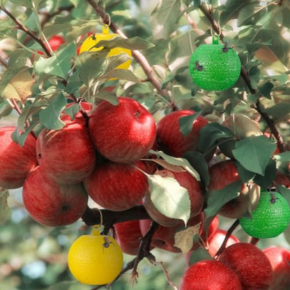 Qualirey 20 Pcs Sticky Fruit Fly Trap Ball Adhesive Fly Catching Ball Sticky Glue Fly Gnat Wasp Hornet Mosquito Bugs Flying Insects Trap Ball Traps (Green, Yellow) - color: Green, Yellow, size: Flat Top