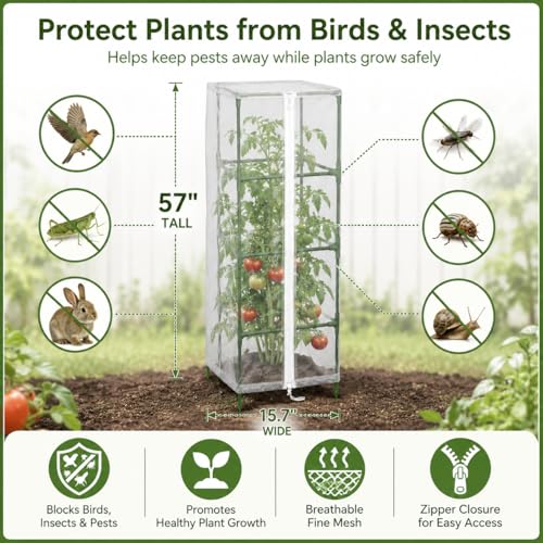 Halatool Garden Tomato Plant Cover Netting, Fits 50–63" Square Tomato Cages - color: 2 Pack, size: 57 inch