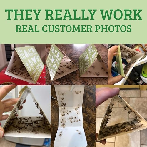 Professor Killamoth Superior Pantry Moth Traps 6-Pack with Pheromones Prime | No Insecticides | Safe, Non-Toxic and Child and Pet Friendly Pantry Protection | Superior Attractant