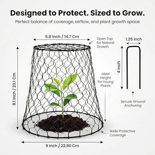 DHAMPOOH Garden Cloches for Plants, Outdoor Plant Protectors, 4 Pack - size: Pack of 4