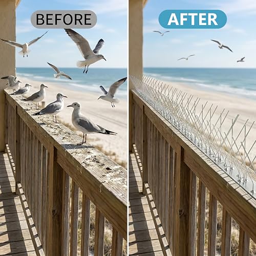 Bird Spikes 31FT, 304 Stainless Steel Bird Deterrents Spikes for Outside to Keep Birds Away Birds Scare Devices Outdoor 38Pcs - size: 38 Set-31Ft