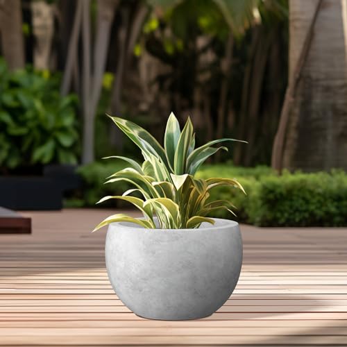 Kante Accent Round Bowl Pale Gray Concrete Planter 15.7" Dia, Outdoor - color: Natural Concrete, size: 15.7" d