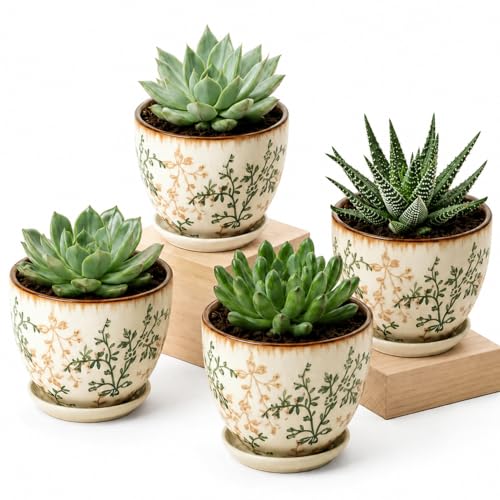 Ceramic Plant Pots, Vintage Succulent Pots, Plant Pots Indoor Set of 4, Planters with Drainage and Attached Saucer, 4.8 Inch Floral Flower Pots for Home Decor, Plant Lover Gifts - size: 4.8 inch, set of 4